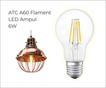 6W A60 Flament Ampul